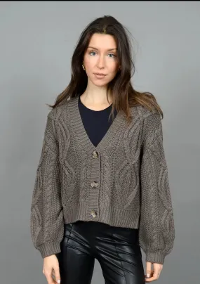 Ignacia Long Sleeve V Neck Cardigan