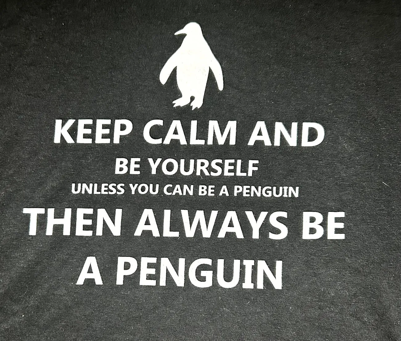 Keep Calm...Penguin T-Shirt (S - XL)