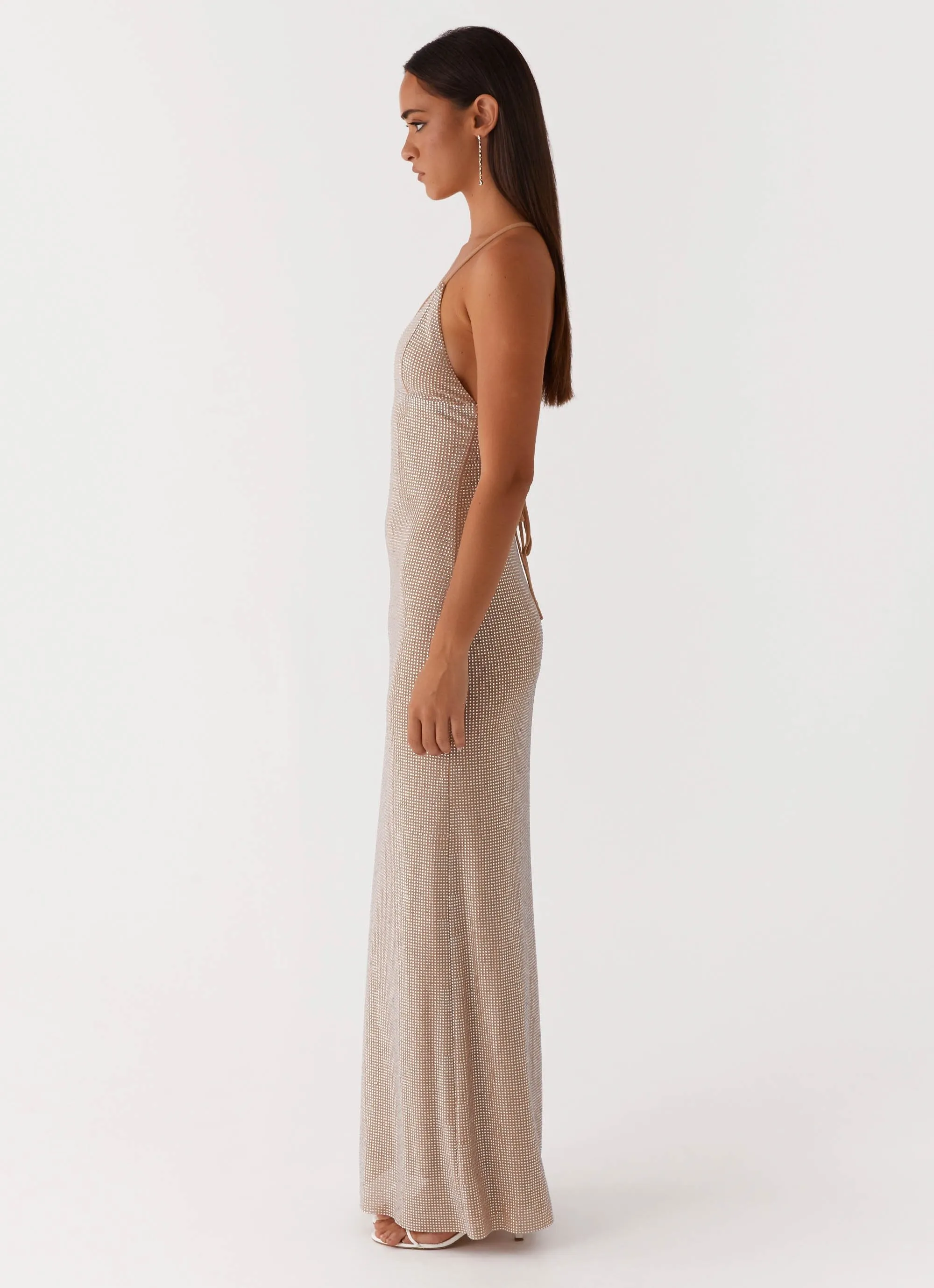 Tula Beaded Mesh Maxi Dress - Silver Diamante